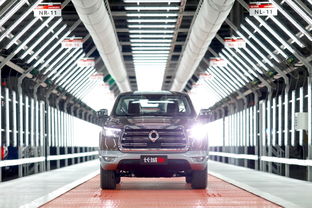 上市即爆款，長(zhǎng)城炮十月銷(xiāo)量突破5020臺(tái)領(lǐng)跑市場(chǎng)